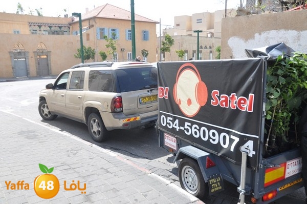 trees shamela 0321 (43).JPG